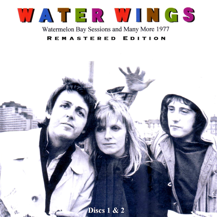 Water Wings (D1 & 2) - front copy.png